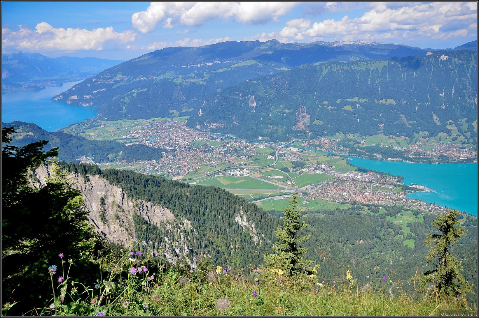 Schynige Platte (Wilderswil)